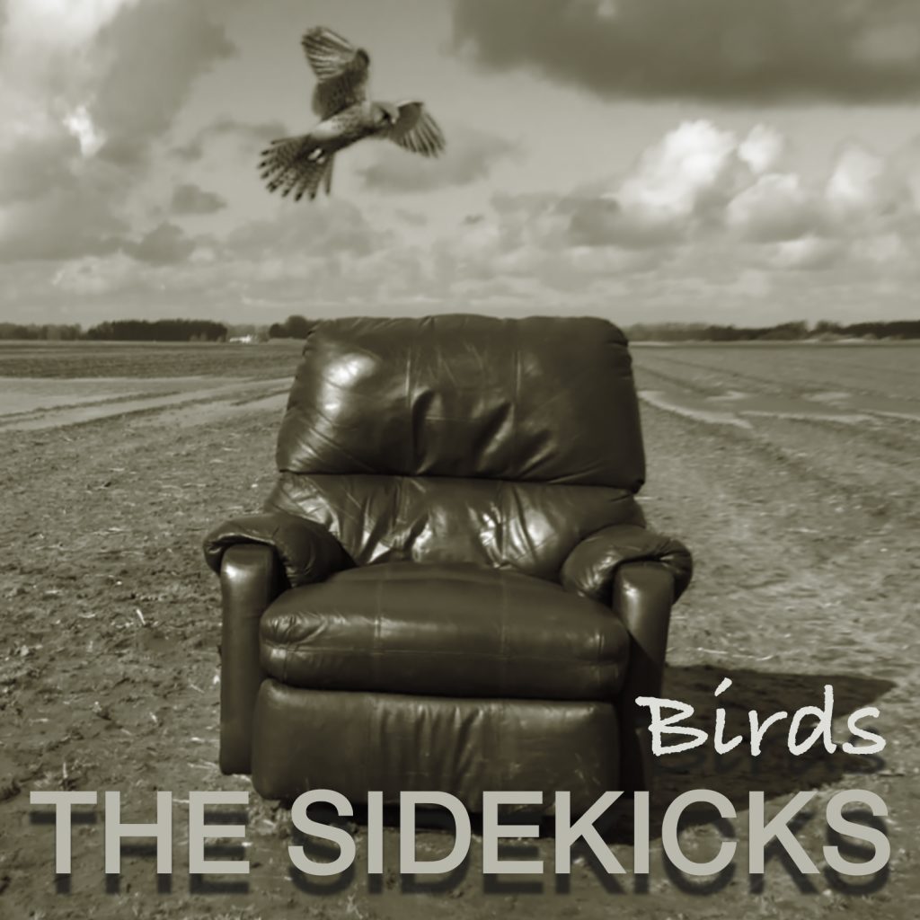 CD cover Birds - The Sidekicks
